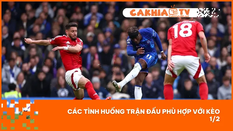 Cách Đặt Kèo 1/2 Chuẩn Không Cần Dò Dữ Liệu Phức Tạp 2 Nên áp dụng kèo 1/2 khi hai đội có sự chênh lệch vừa phải hoặc lối chơi khó đoán