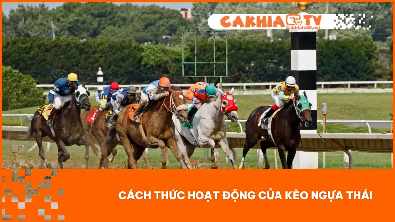 Kèo Ngựa Thái – Cơ Hội Cược Lớn, Thắng Lớn Mỗi Giây 1 Người chơi cần nắm rõ cách thức cược và các hình thức cược có sẵn