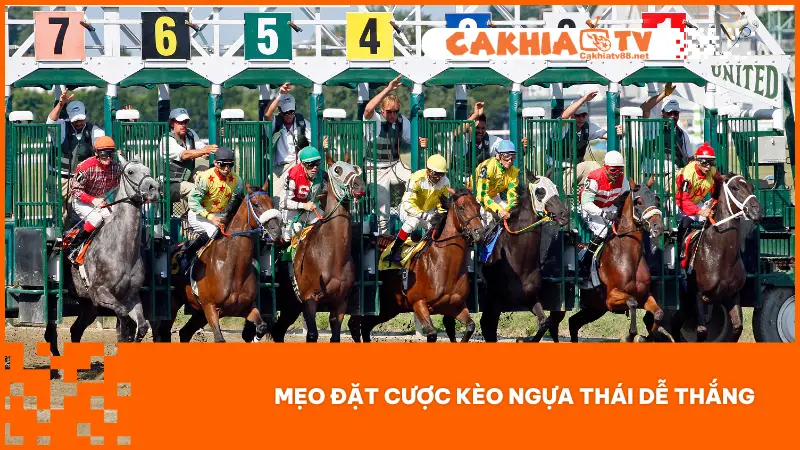 Kèo Ngựa Thái – Cơ Hội Cược Lớn, Thắng Lớn Mỗi Giây 4 Tham gia cược kèo Ngựa Thái cần phải áp dụng một số mẹo sau để thắng lớn