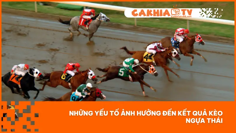 Kèo Ngựa Thái – Cơ Hội Cược Lớn, Thắng Lớn Mỗi Giây 3 Khi chơi kèo Ngựa Thái cần phải nắm bắt yếu tố ảnh hưởng đến kết quả của cuộc đua