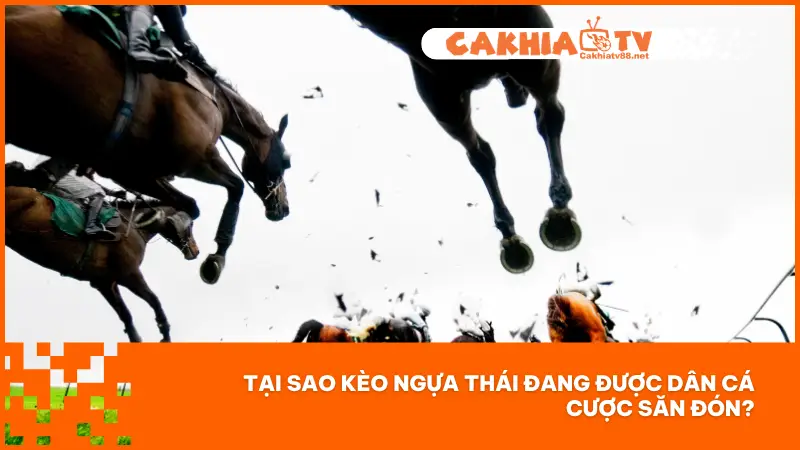 Kèo Ngựa Thái – Cơ Hội Cược Lớn, Thắng Lớn Mỗi Giây 2 Một số lý do tại sao kèo Ngựa Thái lại thu hút người chơi cá cược