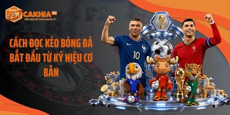 Cách đọc kèo bóng đá bắt đầu từ ký hiệu cơ bản
