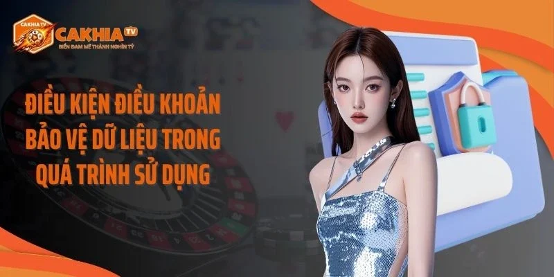 Điều kiện điều khoản bảo vệ dữ liệu trong quá trình sử dụng