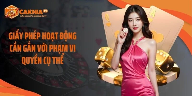 Giấy phép hoạt động cần gắn với phạm vi quyền cụ thể