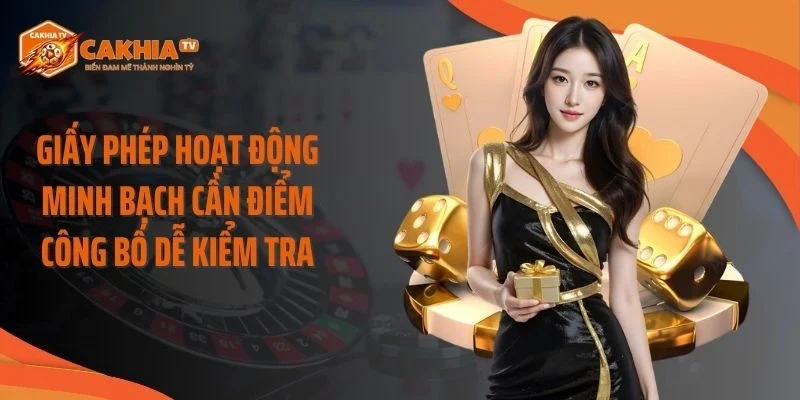 Giấy phép hoạt động minh bạch cần điểm công bố dễ kiểm tra